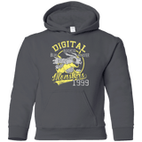 Sweatshirts Charcoal / YS Blue Blaster Youth Hoodie