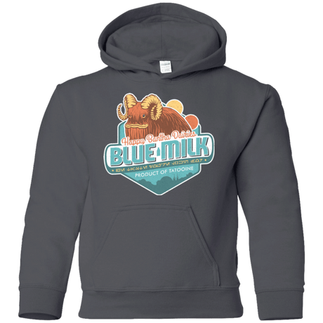 Sweatshirts Charcoal / YS Blue Milk Youth Hoodie