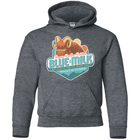 Sweatshirts Dark Heather / YS Blue Milk Youth Hoodie