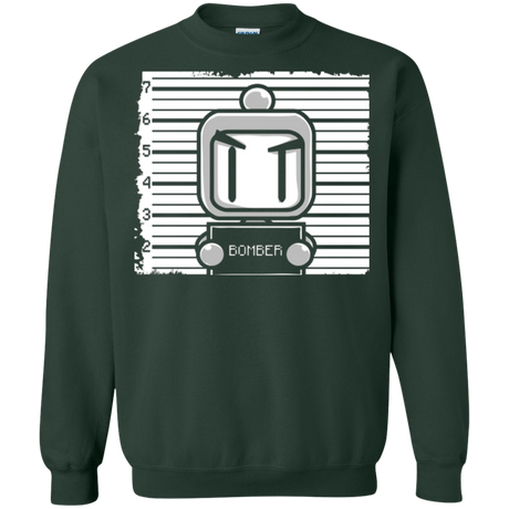 Sweatshirts Forest Green / Small BOMBER Crewneck Sweatshirt