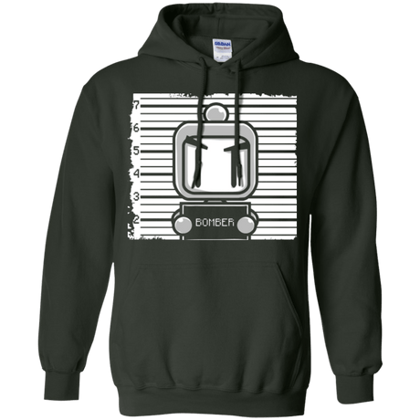Sweatshirts Forest Green / Small BOMBER Pullover Hoodie