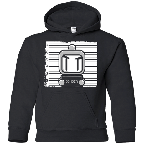 Sweatshirts Black / YS BOMBER Youth Hoodie