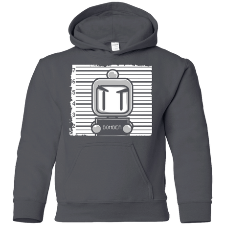 Sweatshirts Charcoal / YS BOMBER Youth Hoodie
