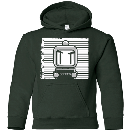 Sweatshirts Forest Green / YS BOMBER Youth Hoodie