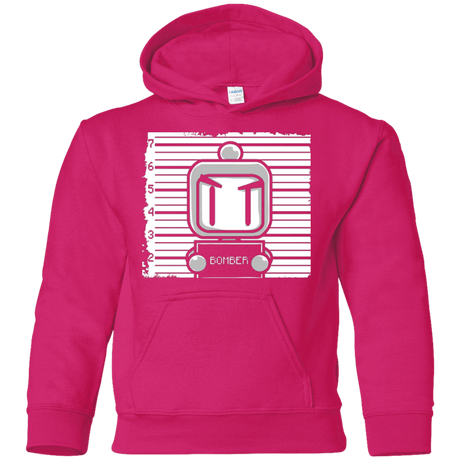 Sweatshirts Heliconia / YS BOMBER Youth Hoodie