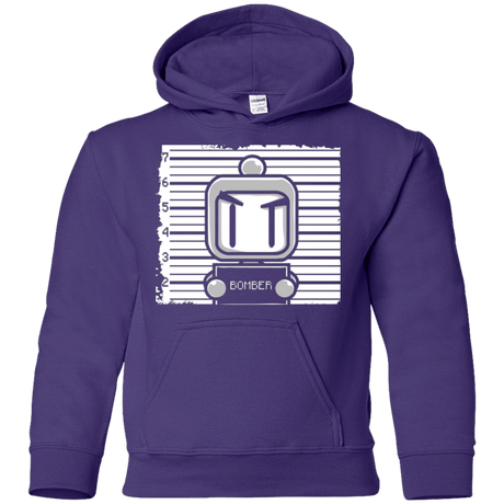 Sweatshirts Purple / YS BOMBER Youth Hoodie