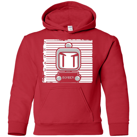 Sweatshirts Red / YS BOMBER Youth Hoodie