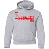 Sweatshirts Sport Grey / YS BONESTORM Youth Hoodie