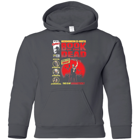 Sweatshirts Charcoal / YS Book Of The Dead Youth Hoodie