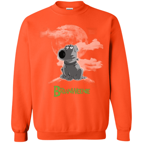 Sweatshirts Orange / Small Brian Weenie Crewneck Sweatshirt