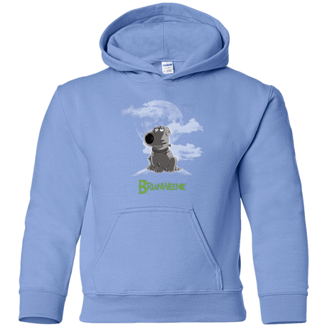 Sweatshirts Carolina Blue / YS Brian Weenie Youth Hoodie