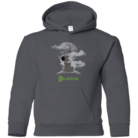 Sweatshirts Charcoal / YS Brian Weenie Youth Hoodie
