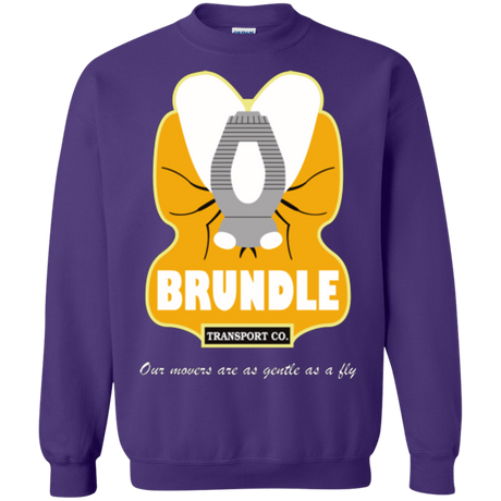 Sweatshirts Purple / Small Brundle Transportation Crewneck Sweatshirt