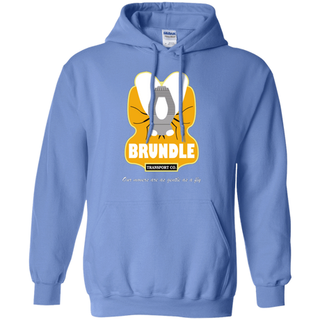 Sweatshirts Carolina Blue / Small Brundle Transportation Pullover Hoodie