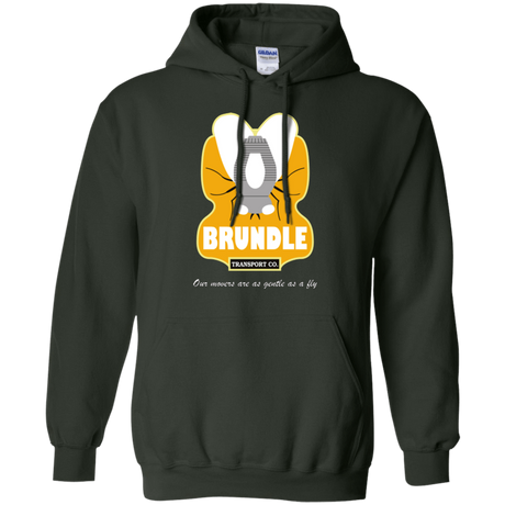 Sweatshirts Forest Green / Small Brundle Transportation Pullover Hoodie