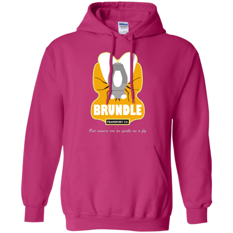 Sweatshirts Heliconia / Small Brundle Transportation Pullover Hoodie