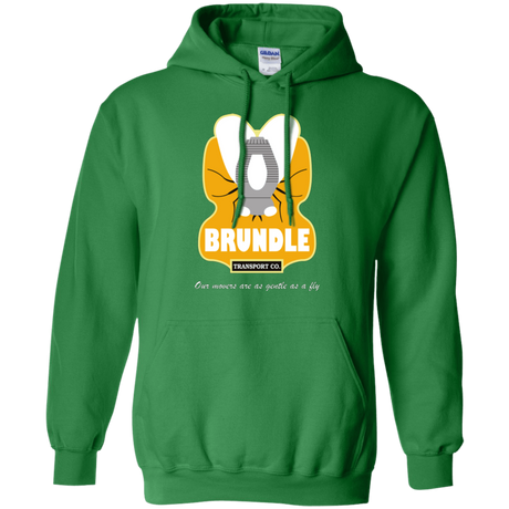 Sweatshirts Irish Green / Small Brundle Transportation Pullover Hoodie