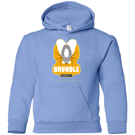 Sweatshirts Carolina Blue / YS Brundle Transportation Youth Hoodie