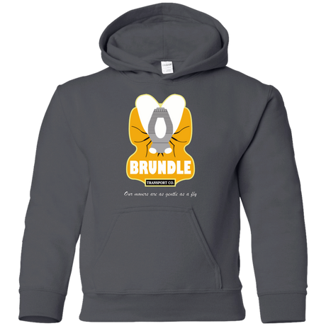 Sweatshirts Charcoal / YS Brundle Transportation Youth Hoodie