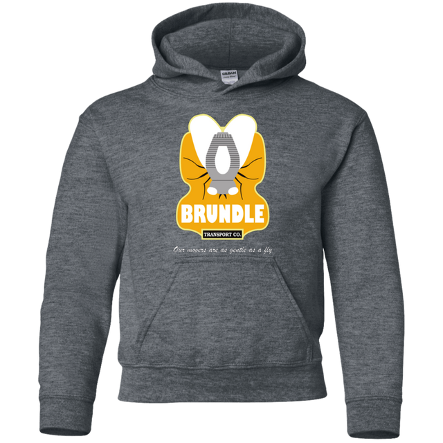 Sweatshirts Dark Heather / YS Brundle Transportation Youth Hoodie