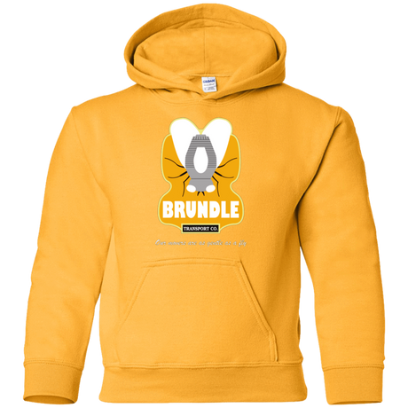 Sweatshirts Gold / YS Brundle Transportation Youth Hoodie