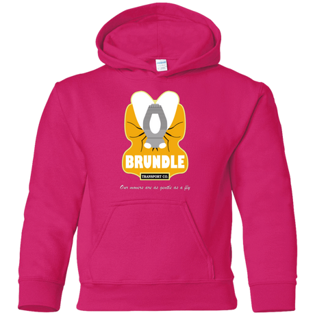 Sweatshirts Heliconia / YS Brundle Transportation Youth Hoodie