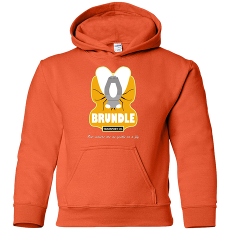 Sweatshirts Orange / YS Brundle Transportation Youth Hoodie