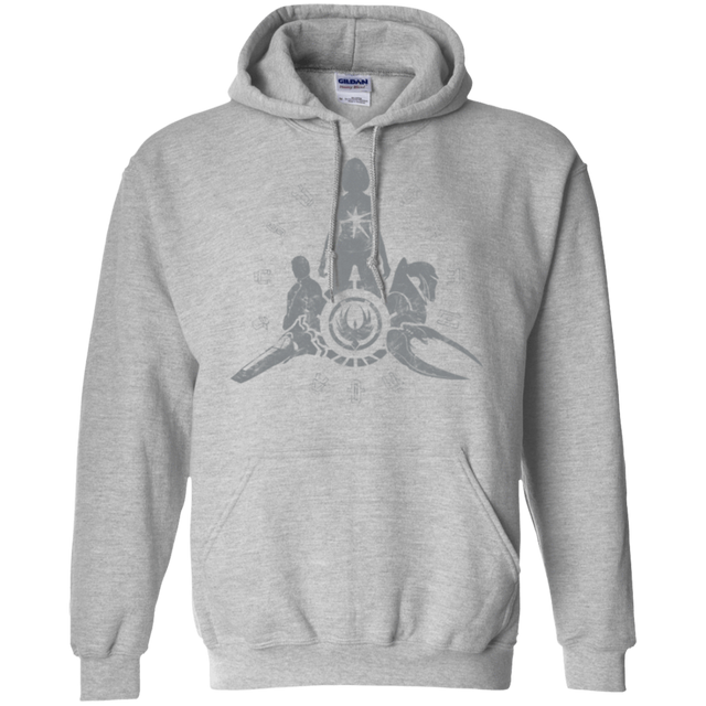 Sweatshirts Sport Grey / Small BSG Pullover Hoodie