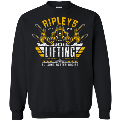 Sweatshirts Black / Small Building Better Worlds (1) Crewneck Sweatshirt