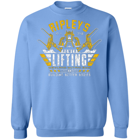 Sweatshirts Carolina Blue / Small Building Better Worlds (1) Crewneck Sweatshirt