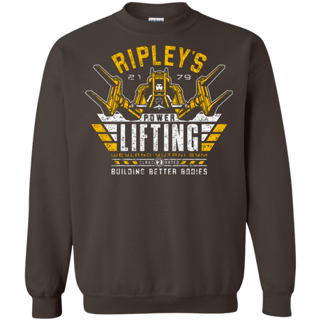 Sweatshirts Dark Chocolate / Small Building Better Worlds (1) Crewneck Sweatshirt