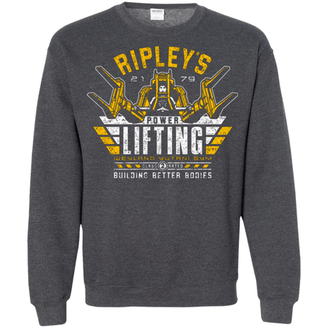 Sweatshirts Dark Heather / Small Building Better Worlds (1) Crewneck Sweatshirt