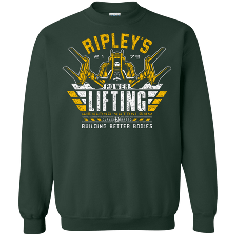 Sweatshirts Forest Green / Small Building Better Worlds (1) Crewneck Sweatshirt