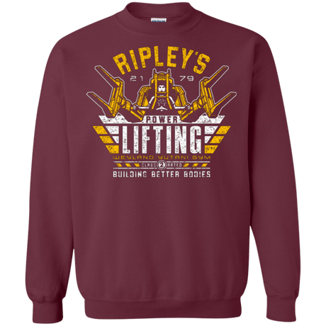 Sweatshirts Maroon / Small Building Better Worlds (1) Crewneck Sweatshirt