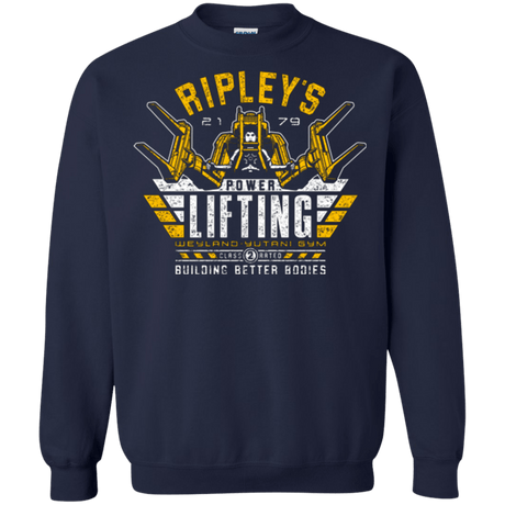 Sweatshirts Navy / Small Building Better Worlds (1) Crewneck Sweatshirt
