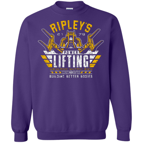 Sweatshirts Purple / Small Building Better Worlds (1) Crewneck Sweatshirt