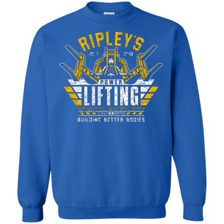 Sweatshirts Royal / Small Building Better Worlds (1) Crewneck Sweatshirt