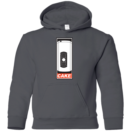 Sweatshirts Charcoal / YS Cake is a Lie Youth Hoodie
