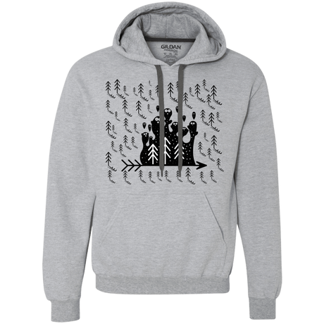 Sweatshirts Sport Grey / S Campfire Stories Premium Fleece Hoodie