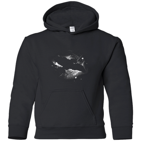 Sweatshirts Black / YS Can't take the sky from me Youth Hoodie