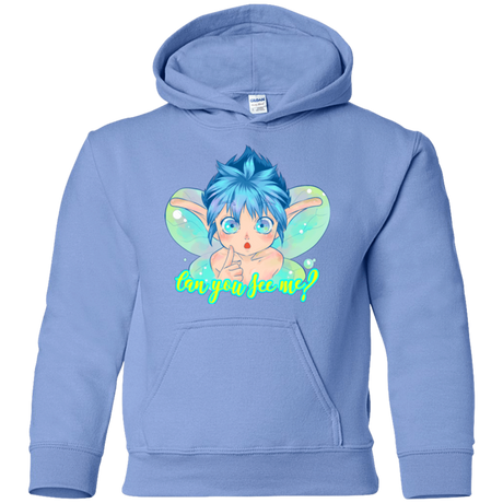 Sweatshirts Carolina Blue / YS Can you see me Youth Hoodie