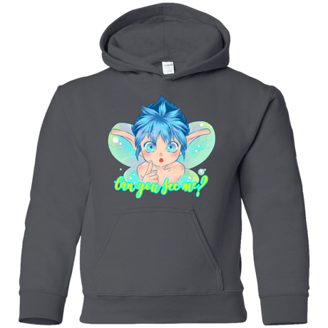 Sweatshirts Charcoal / YS Can you see me Youth Hoodie