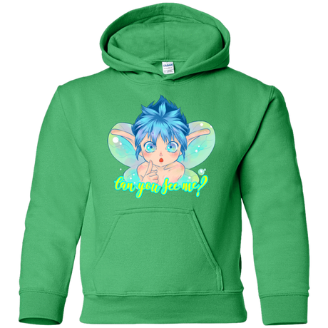 Sweatshirts Irish Green / YS Can you see me Youth Hoodie