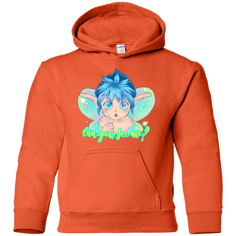 Sweatshirts Orange / YS Can you see me Youth Hoodie