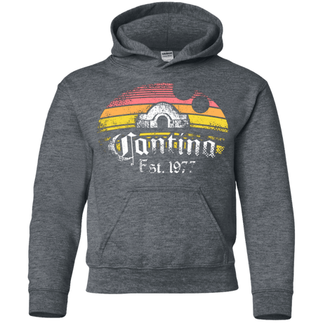 Sweatshirts Dark Heather / YS Cantina Youth Hoodie