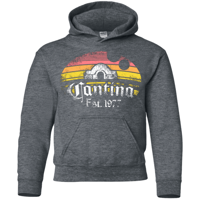 Sweatshirts Dark Heather / YS Cantina Youth Hoodie