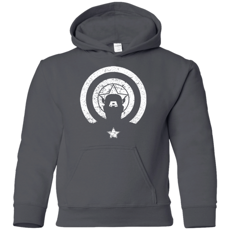 Sweatshirts Charcoal / YS Captain Shadow Youth Hoodie