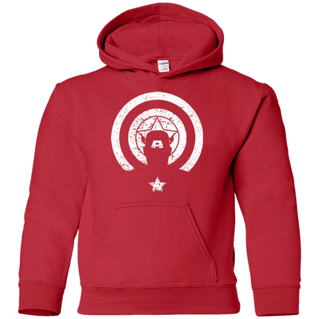 Sweatshirts Red / YS Captain Shadow Youth Hoodie