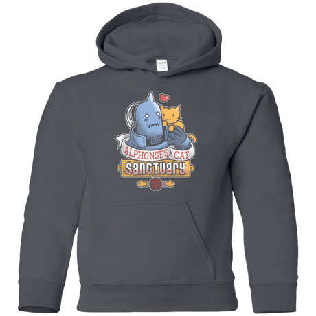 Sweatshirts Charcoal / YS CAT SANCTUARY Youth Hoodie