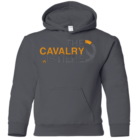 Sweatshirts Charcoal / YS Cavalry full Youth Hoodie